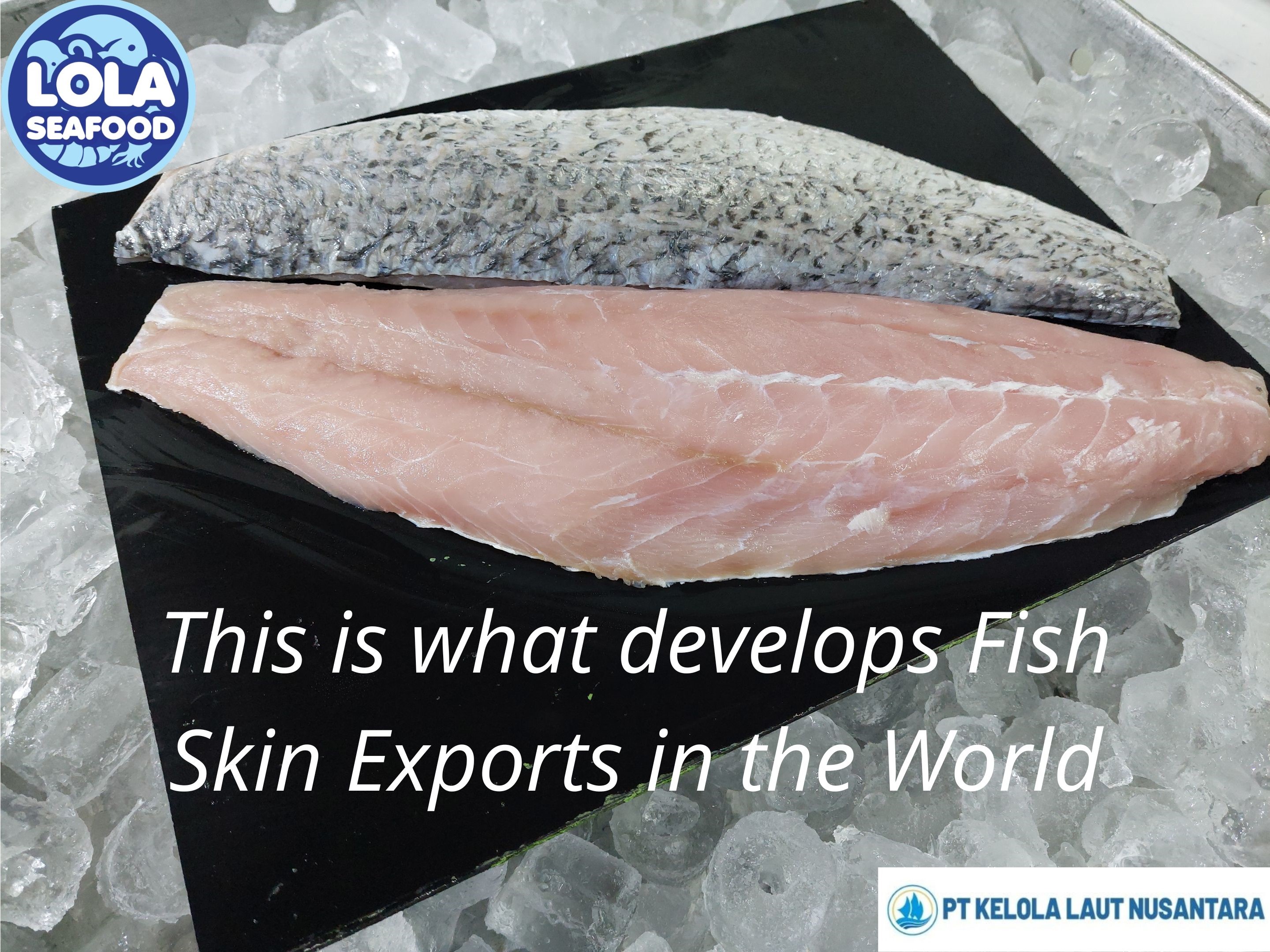 This is what develops Fish Skin Exports in the World